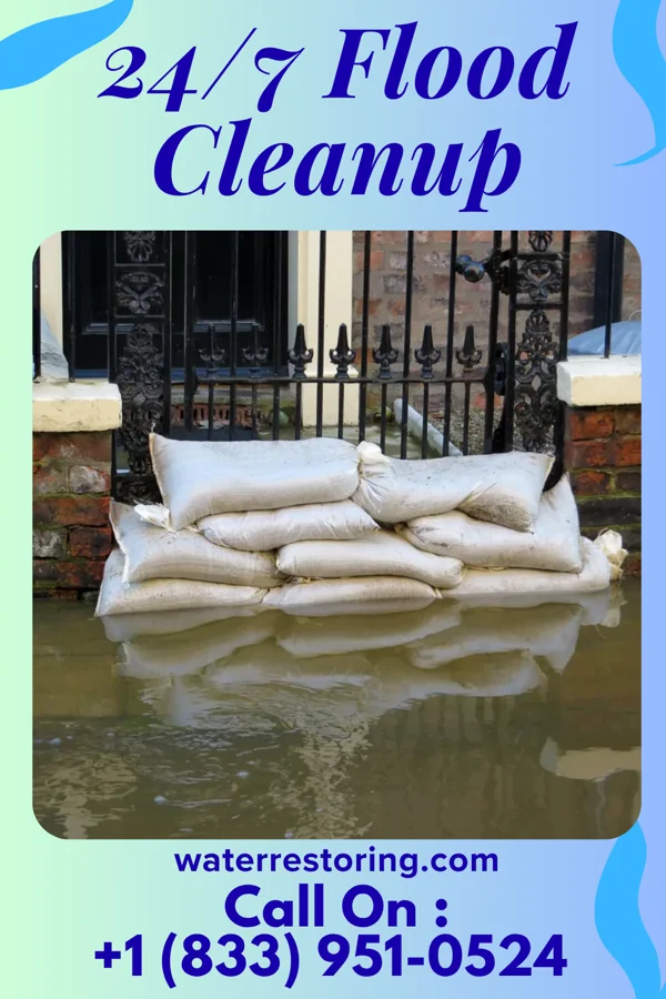 24/7 Flood Cleanup in Selbyville, DE