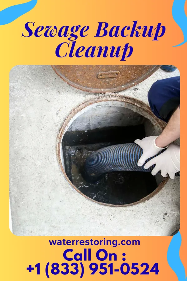 Sewage Backup Cleanup in Selbyville, DE